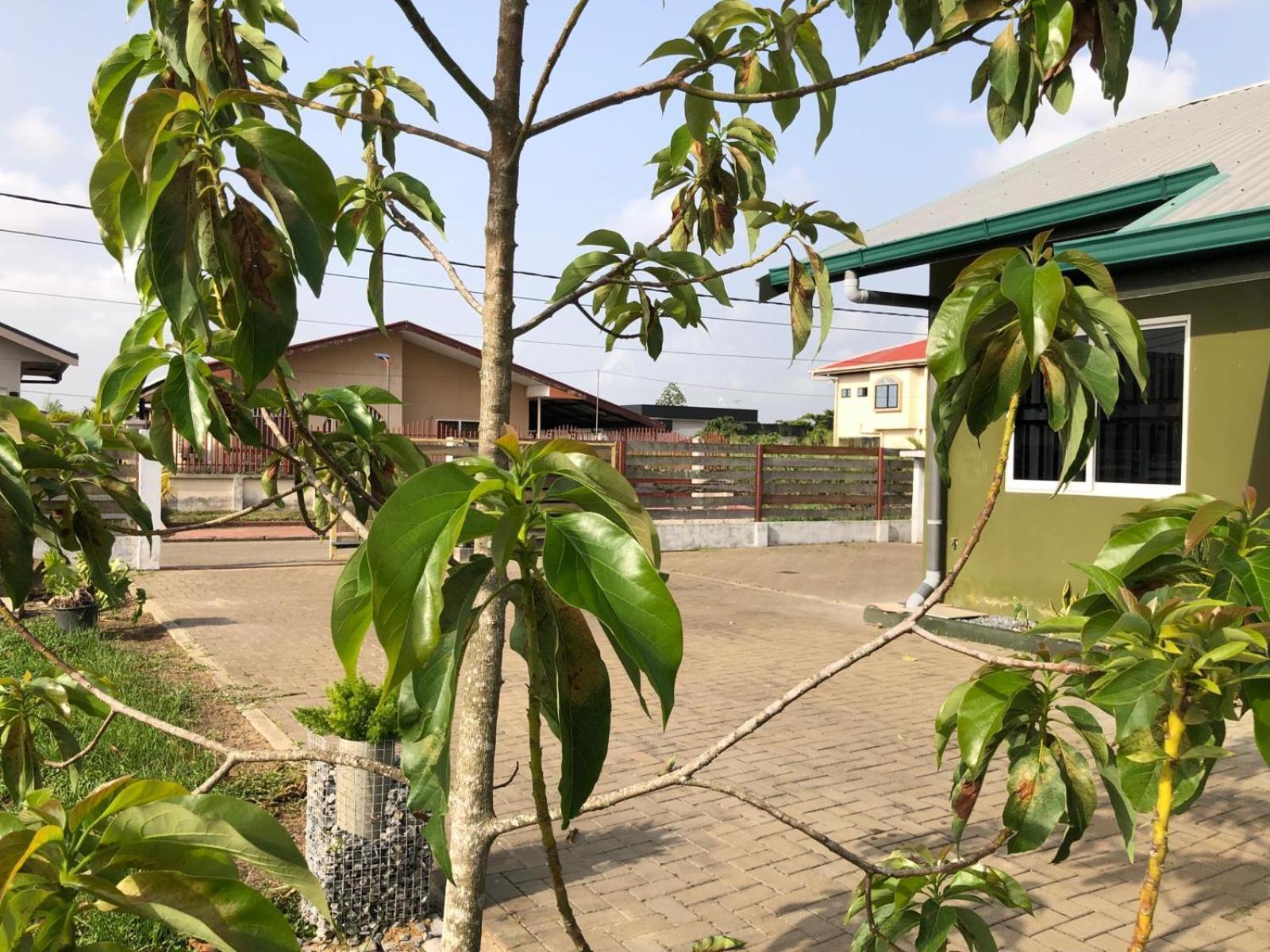 Appartement Grapefruitstraat à Paramaribo Extérieur photo